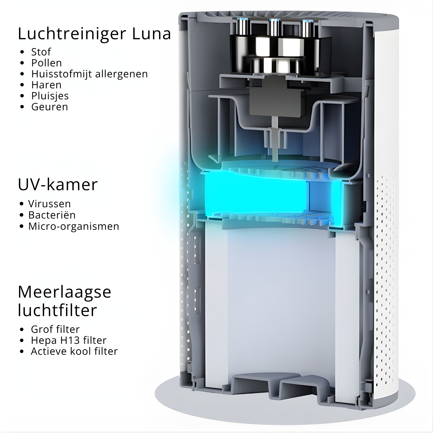 Doorsnede van de Luchtreiniger Luna met grof filter, HEPA H13-filter, actieve koolfilter en UV-kamer voor stof, pollen en geuren